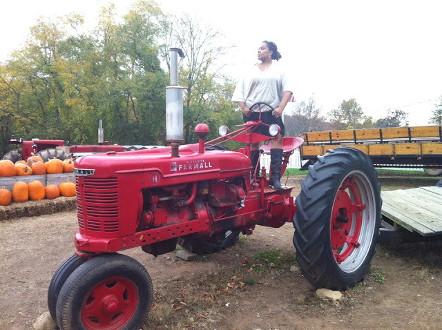 patranila stands atop a red tractor at Mr Davies Farm