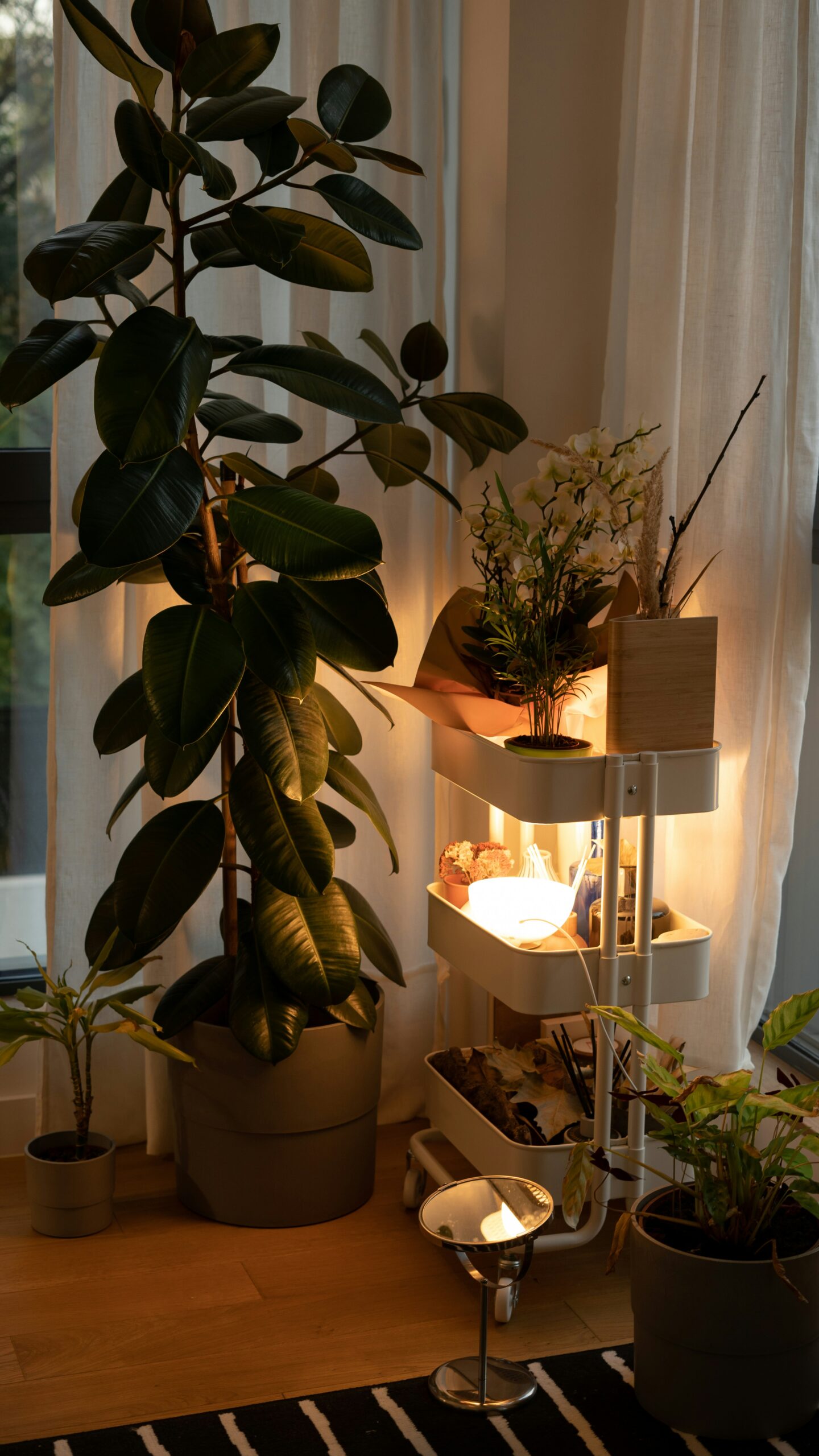 cozy corner with storage, mood lighting, and plants