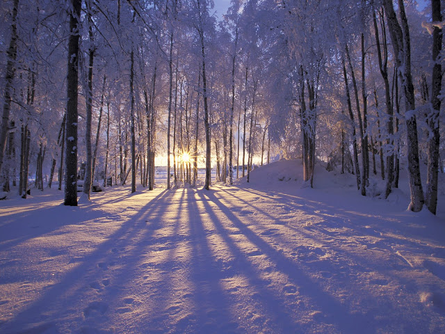 The winter solstice is the shortest day of the year.