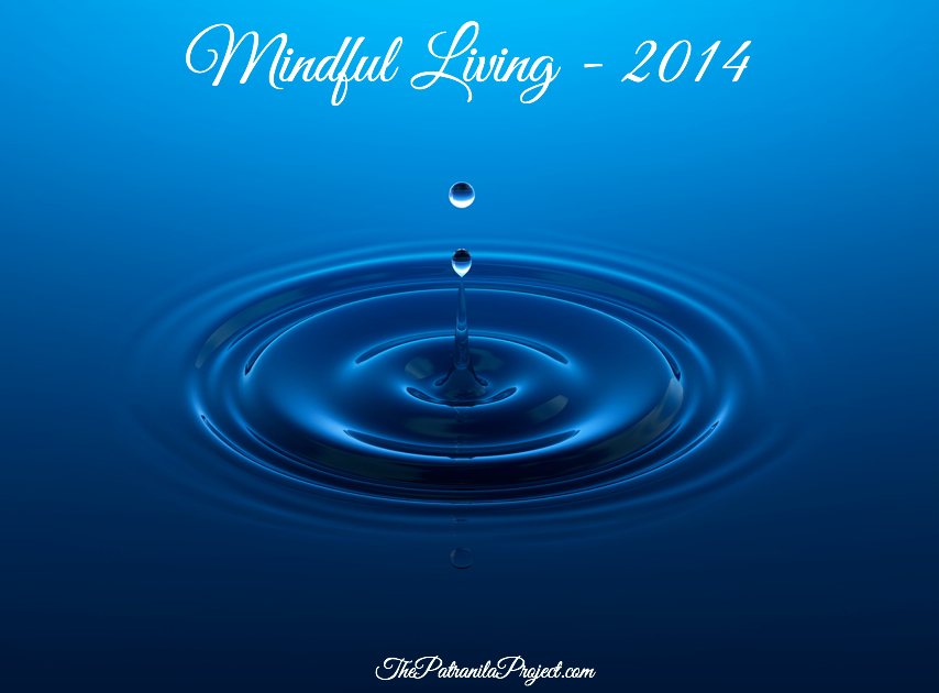 My Year of Mindful Living