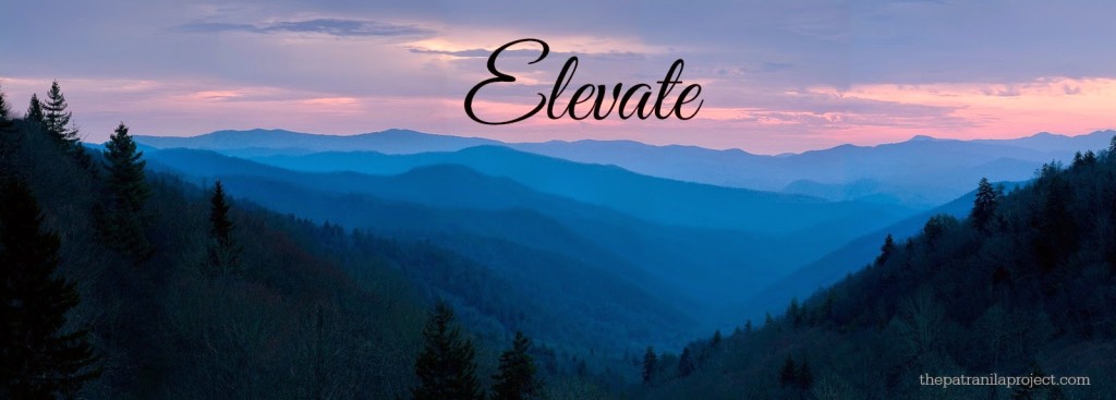 2015 Word For The Year: Elevate