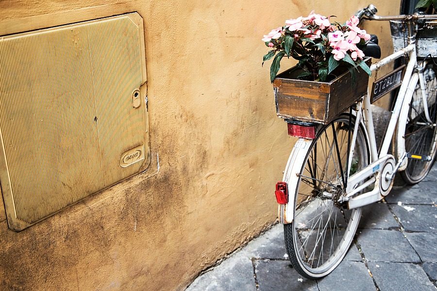 summer-weekend-bicycle-with-flowers-the-patranila-project