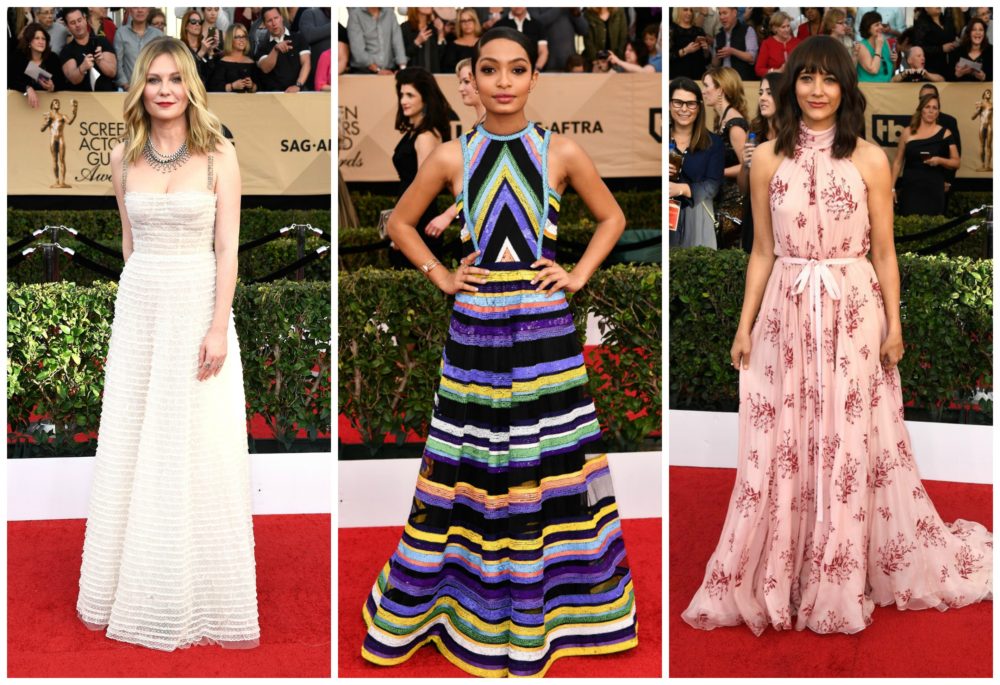 2017 SAG Awards Red Carpet