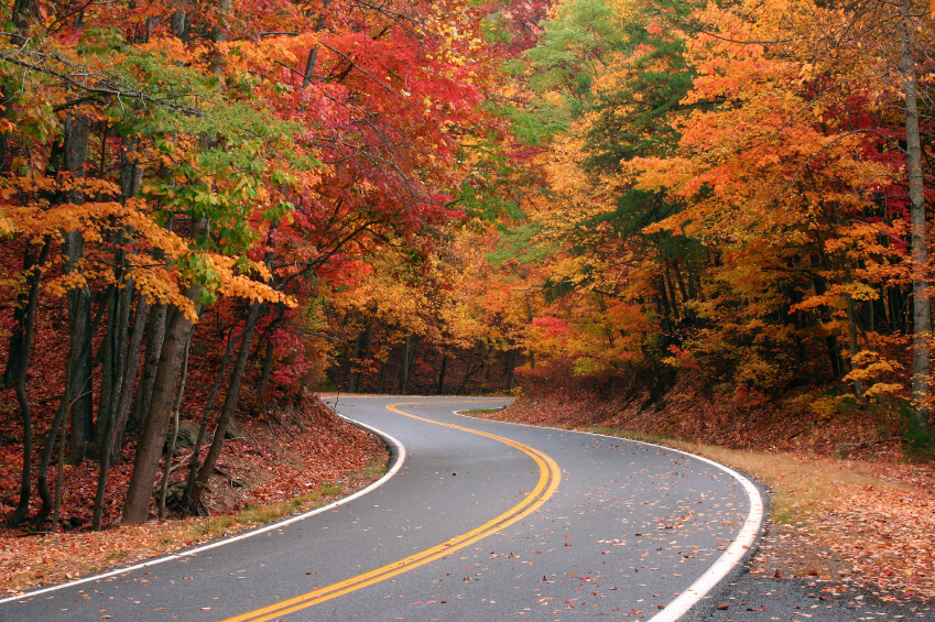 Take a road trip to see the leaves change color this fall.