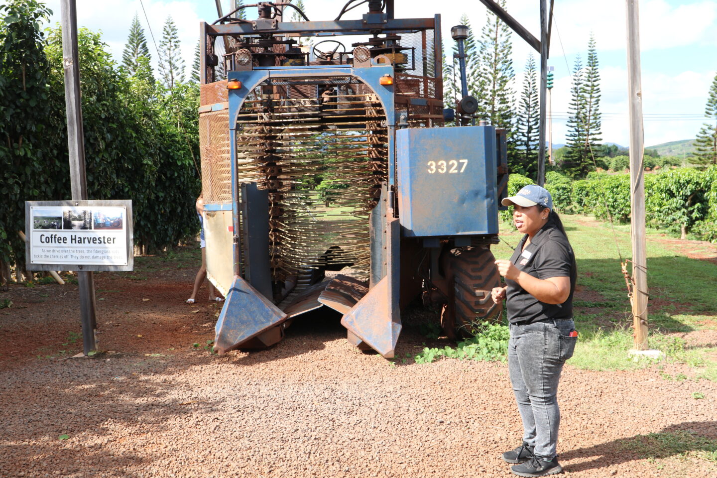 kauai coffee harvester machine