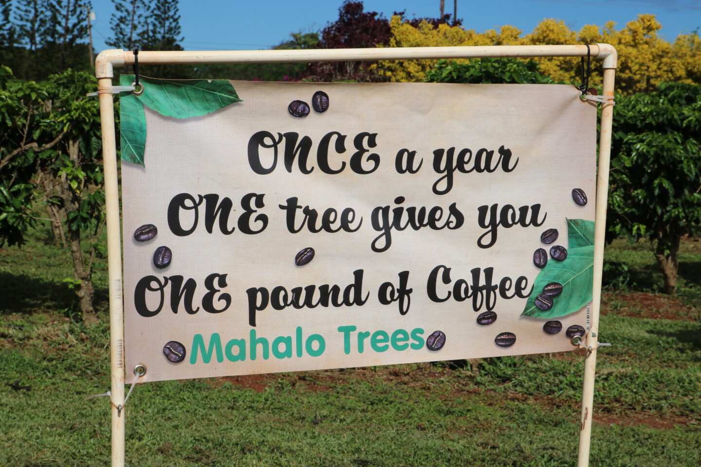 mahalo trees coffee production sign