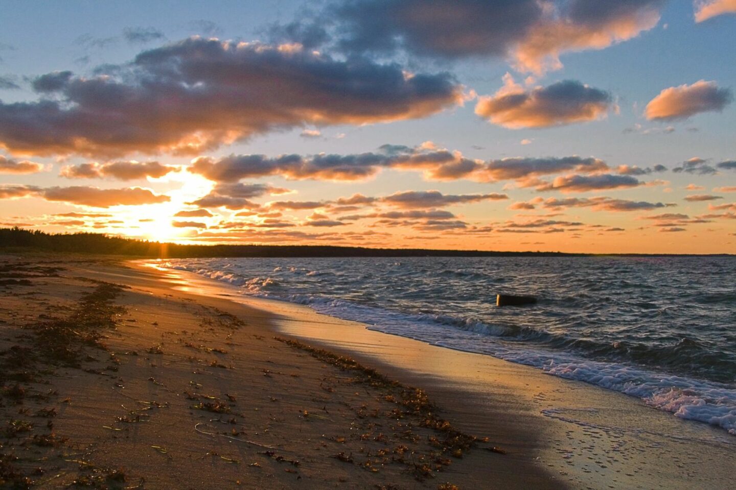 beach at sunset