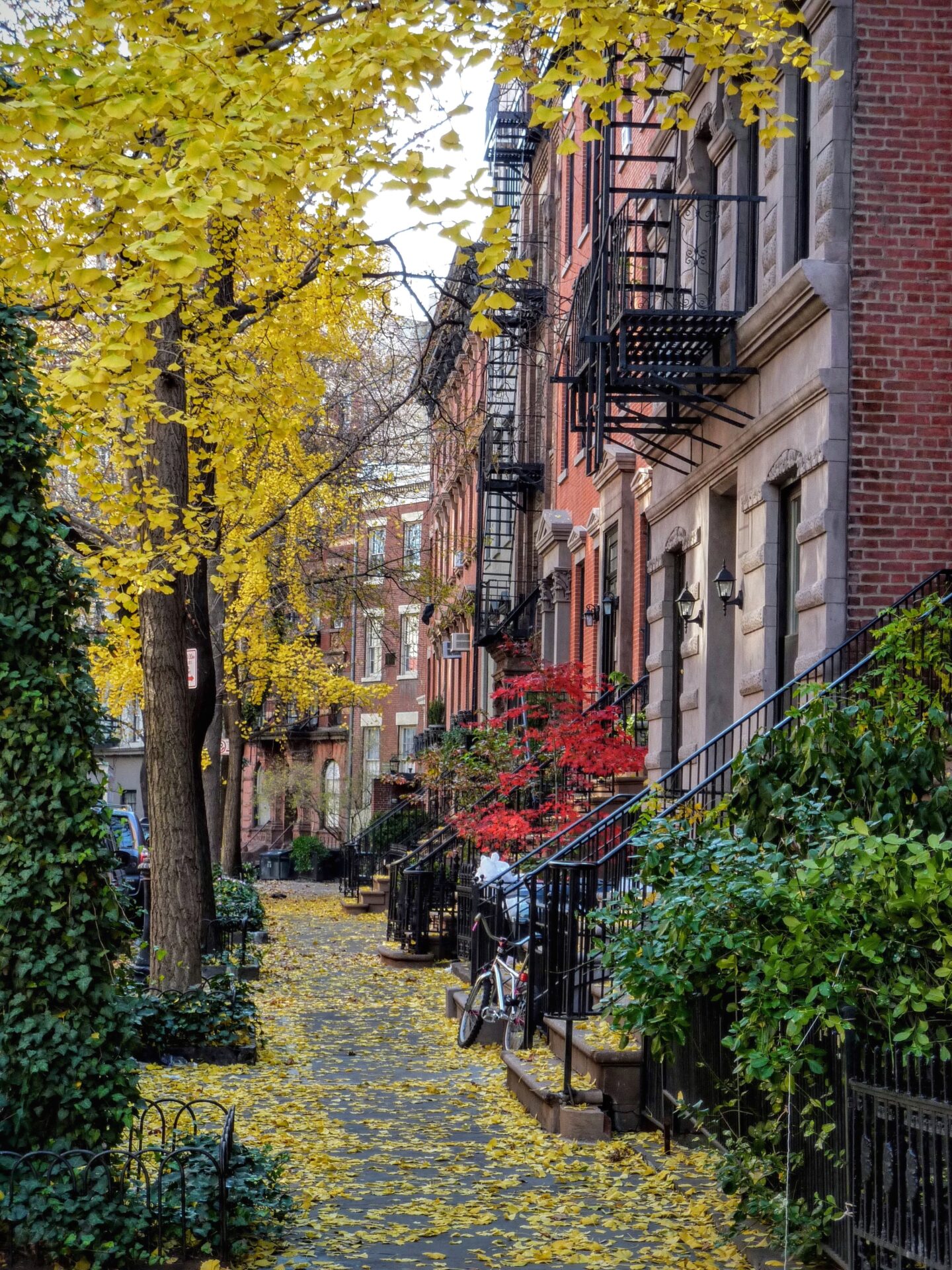 yellow fallen leaves in Greenwich Village, New York
