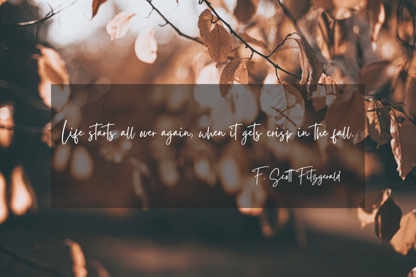 Autumn Quote: Life starts all over again, when it gets crisp in the fall. F Scott Fitzgerald