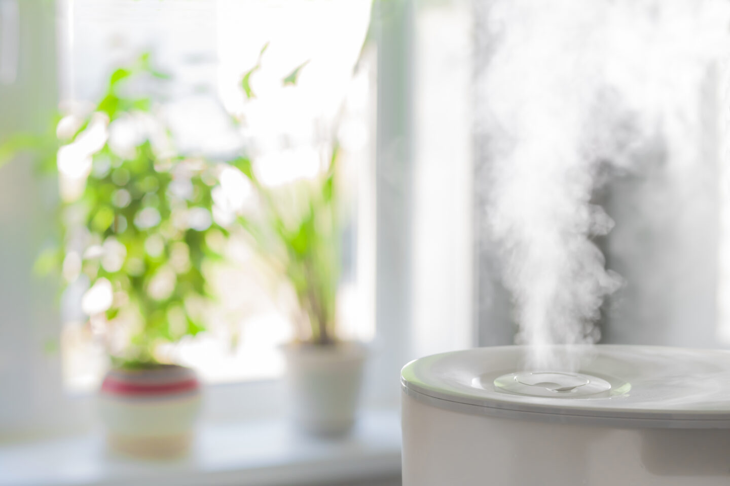 winter skin tips: install humidifiers in your home